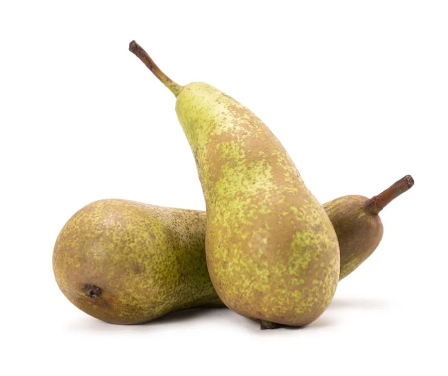 Päron Conference Klass 1