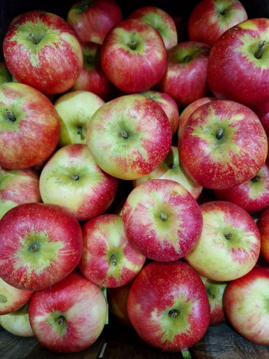 Äpple från Österlen!