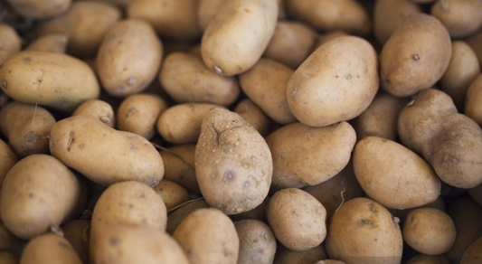 Potatis Bintje 5kg Strandåkra Abbekås